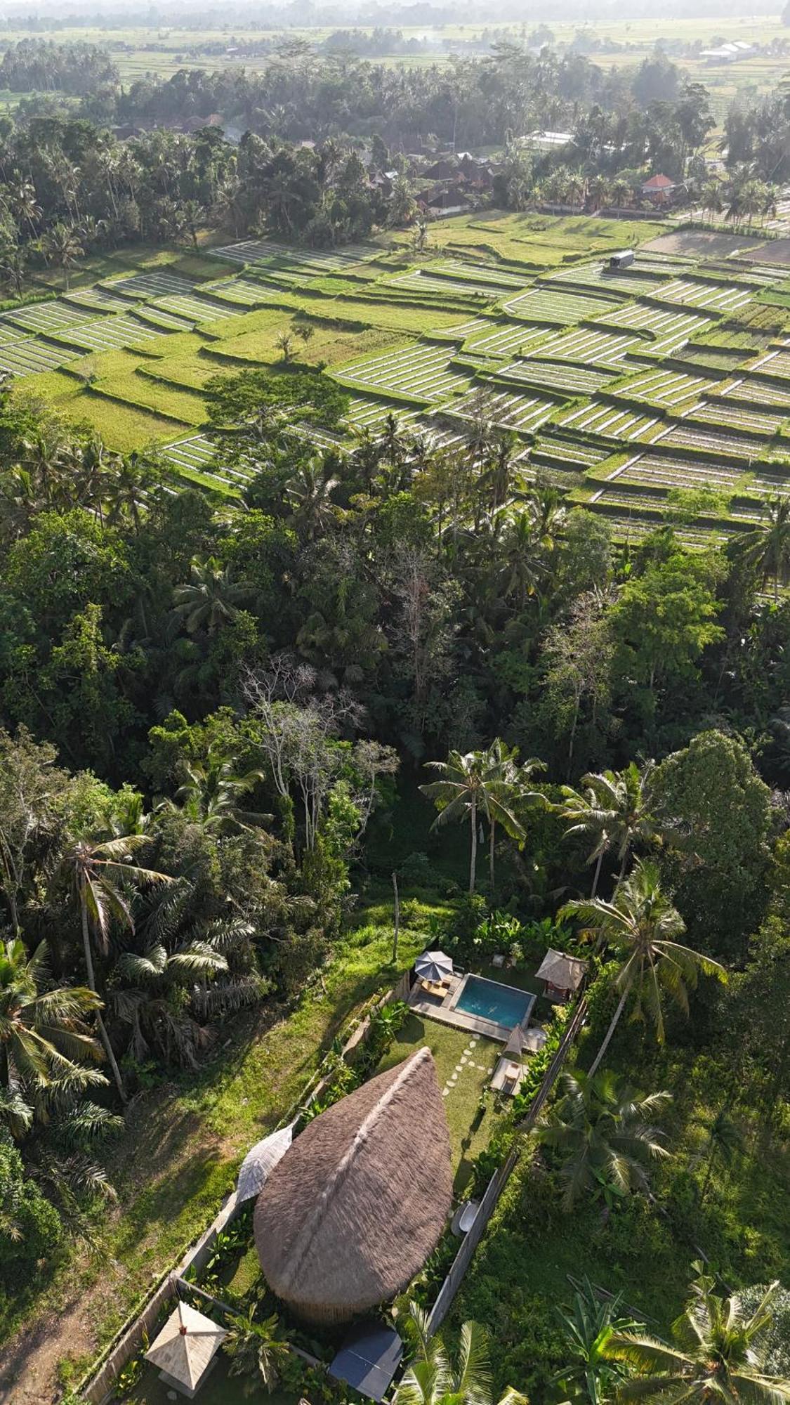 Pitu, A Punggul Village Escape Sangeh Extérieur photo